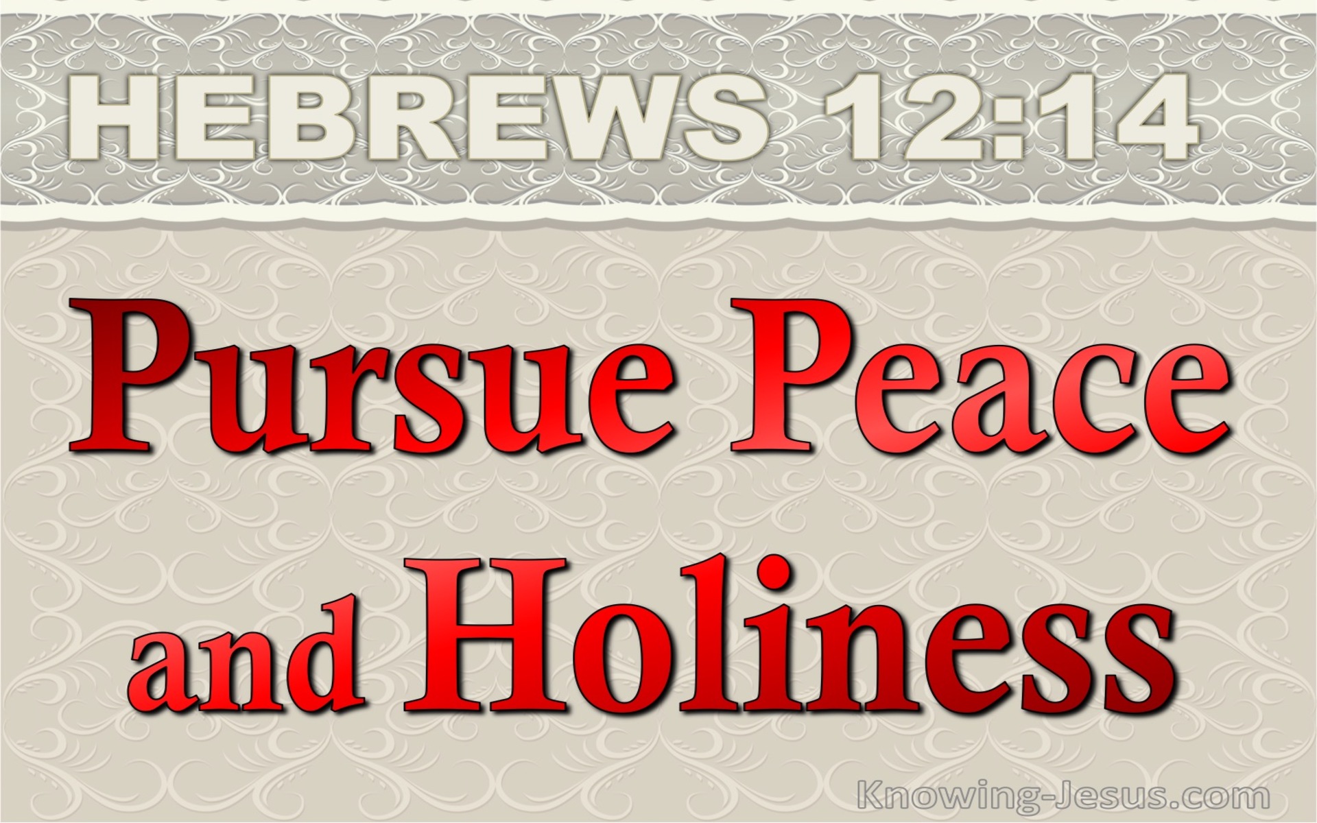 Hebrews 12:14 Pursue Peace And Holiness (red)